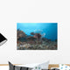 Large Common Lionfish Swimming Left Side Wall Decal