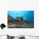 Large Common Lionfish Swimming Left Side Wall Decal