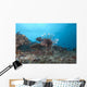 Large Common Lionfish Swimming Left Side Wall Decal