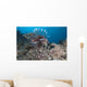 Large Common Lionfish Swimming Right Side Wall Decal