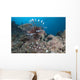 Large Common Lionfish Swimming Right Side Wall Decal