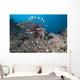 Large Common Lionfish Swimming Right Side Wall Decal