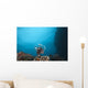 Large Common Lionfish Swimming Distant Wall Decal