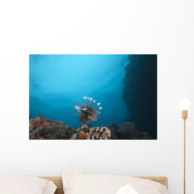 Large Common Lionfish Swimming Distant Wall Decal shown on a wall