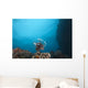 Large Common Lionfish Swimming Distant Wall Decal