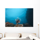 Large Common Lionfish Swimming Distant Wall Decal