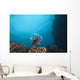 Large Common Lionfish Swimming Distant Wall Decal