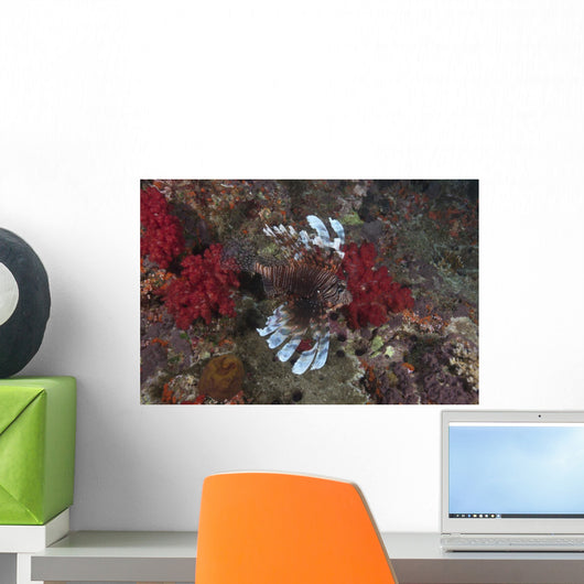 Large Common Lionfish Swimming Fins Flared Wall Decal
