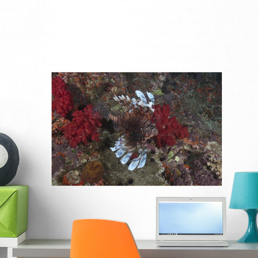 Large Common Lionfish Swimming Fins Flared Wall Decal