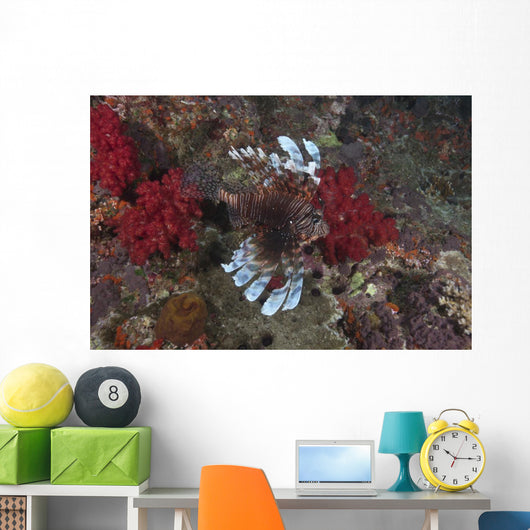 Large Common Lionfish Swimming Fins Flared Wall Decal