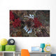 Large Common Lionfish Swimming Fins Flared Wall Decal