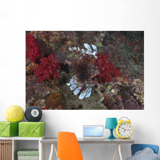 Large Common Lionfish Swimming Fins Flared Wall Decal