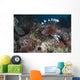 Large Common Lionfish Swimming Close-up Wall Decal
