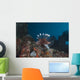 Large Common Lionfish Swimming Wall Decal