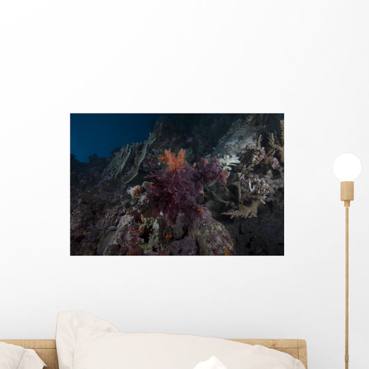 Soft Coral Healthy Fijian Wall Decal