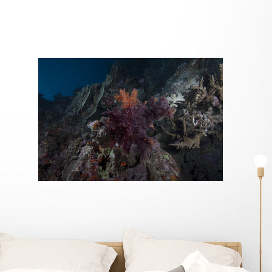 Soft Coral Healthy Fijian Wall Decal