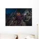 Soft Coral Healthy Fijian Wall Decal