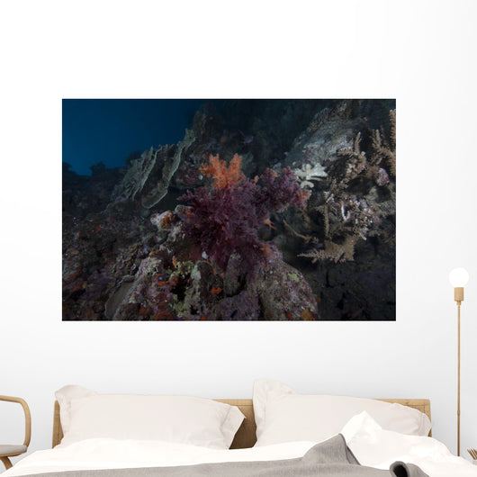 Soft Coral Healthy Fijian Wall Decal