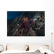 Soft Coral Healthy Fijian Wall Decal