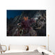 Soft Coral Healthy Fijian Wall Decal