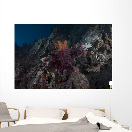 Soft Coral Healthy Fijian Wall Decal
