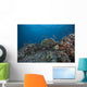 Schooling Anthias Fish Wide Side Wall Decal