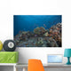 Schooling Anthias Fish Wide Side Wall Decal