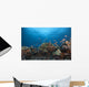 Schooling Anthias Fish Distant Side Wall Decal