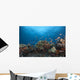 Schooling Anthias Fish Distant Side Wall Decal