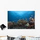 Schooling Anthias Fish Distant Side Wall Decal