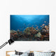 Schooling Anthias Fish Distant Side Wall Decal