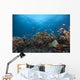 Schooling Anthias Fish Distant Side Wall Decal