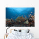 Schooling Anthias Fish Distant Side Wall Decal