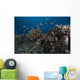 Schooling Anthias Fish Close Side Wall Decal