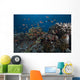 Schooling Anthias Fish Close Side Wall Decal