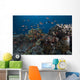 Schooling Anthias Fish Close Side Wall Decal