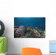 Schooling Anthias Fish Looking Down Wall Decal