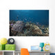 Schooling Anthias Fish Looking Down Wall Decal