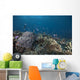 Schooling Anthias Fish Looking Down Wall Decal