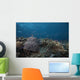 Schooling Anthias Fish Above Wall Decal