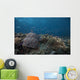 Schooling Anthias Fish Above Wall Decal