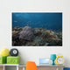 Schooling Anthias Fish Above Wall Decal