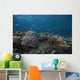 Schooling Anthias Fish Above Wall Decal