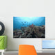 Schooling Anthias Fish and Wall Decal