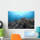 Schooling Anthias Fish and Wall Decal