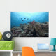 Schooling Anthias Fish and Wall Decal