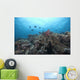 Schooling Anthias Fish and Wall Decal