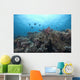 Schooling Anthias Fish and Wall Decal