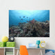 Schooling Anthias Fish and Wall Decal