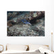 Blackspotted Puffer Fiji Wall Decal